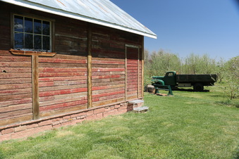 Enlarge photo 80