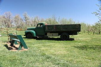 Enlarge photo 82