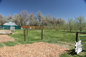 Enlarge photo 90