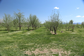 Enlarge photo 91