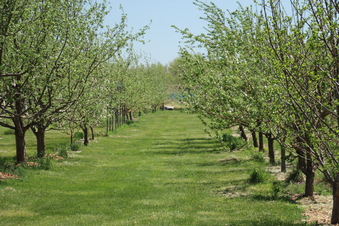 Enlarge photo 92