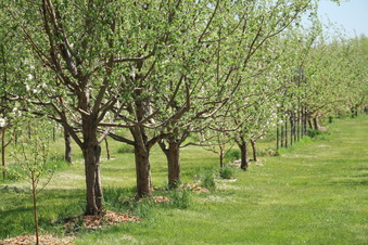 Enlarge photo 93