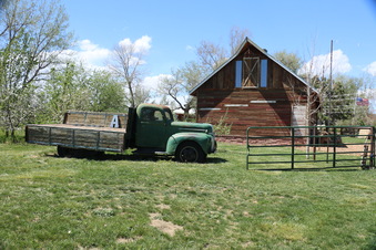 Enlarge photo 83