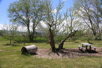 Enlarge photo 116