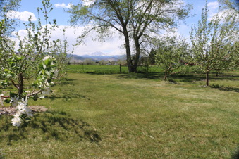 Enlarge photo 117