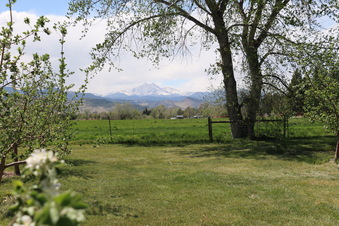 Enlarge photo 118