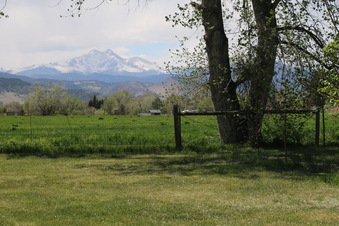 Enlarge photo 119
