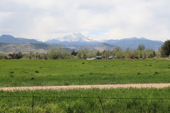 Enlarge photo 120