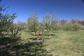 Enlarge photo 121
