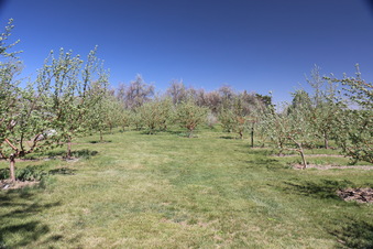 Enlarge photo 122