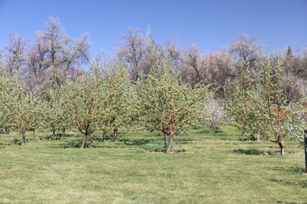 Enlarge photo 123