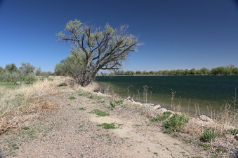 Enlarge photo 126