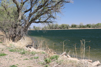 Enlarge photo 127