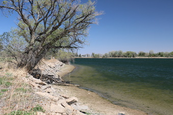 Enlarge photo 128