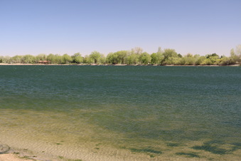 Enlarge photo 129