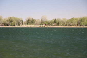 Enlarge photo 131