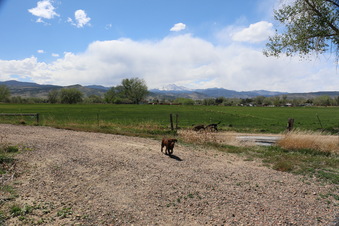 Enlarge photo 132