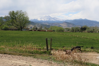 Enlarge photo 133