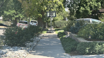 Enlarge photo 37