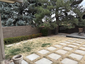 Enlarge photo 103