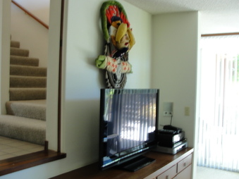 Enlarge photo 30