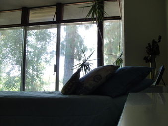 Enlarge photo 39
