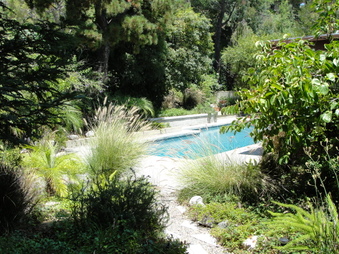 Enlarge photo 72