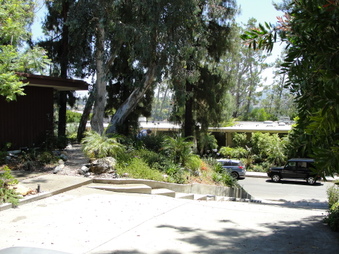 Enlarge photo 78