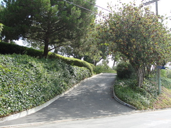 Enlarge photo 1