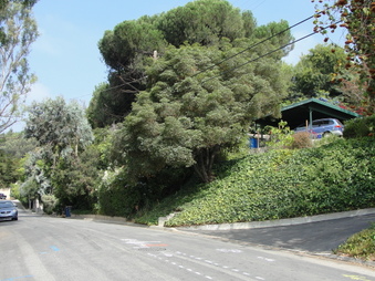 Enlarge photo 3
