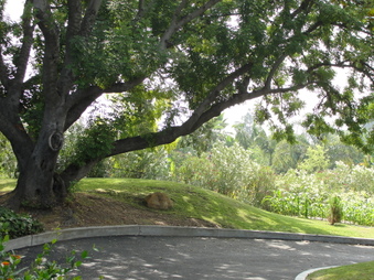Enlarge photo 12