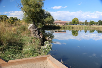 Enlarge photo 13