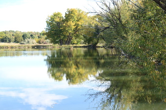 Enlarge photo 16