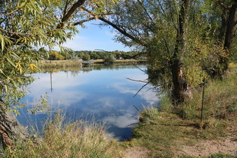 Enlarge photo 17