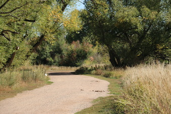 Enlarge photo 19