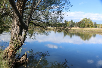 Enlarge photo 27