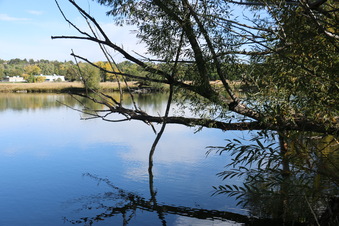 Enlarge photo 29