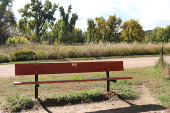 Enlarge photo 30