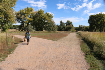 Enlarge photo 31