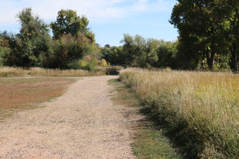 Enlarge photo 32