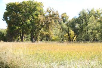 Enlarge photo 33