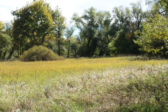 Enlarge photo 34
