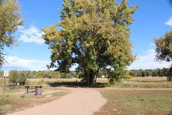 Enlarge photo 35