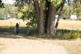 Enlarge photo 36