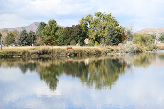 Enlarge photo 44