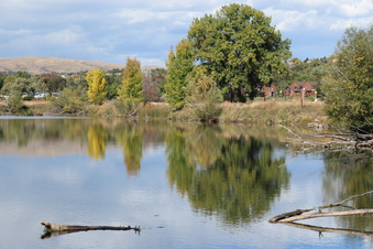 Enlarge photo 45