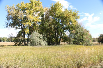 Enlarge photo 46