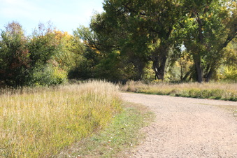 Enlarge photo 47