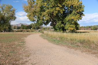 Enlarge photo 48