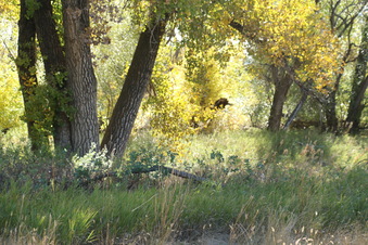 Enlarge photo 50